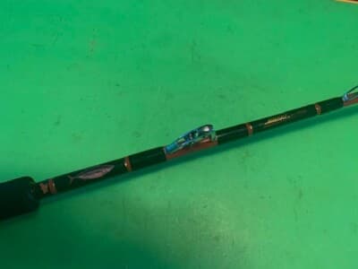 Penn Fishing Sabre Sea Fishing Rod